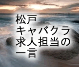 担当者の一言